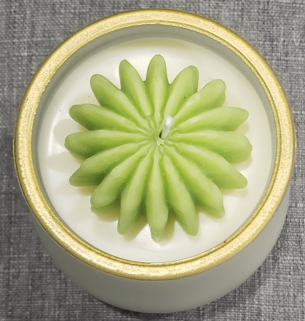 Simplistic succulent