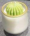 Simplistic succulent
