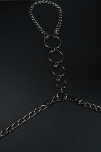 Image 4 of Silver chain harness and multiple rings