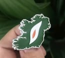 Image 2 of Éire Lily Badge