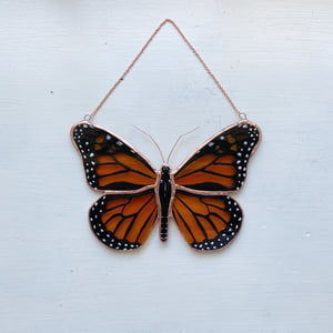 Image of Monarch Butterfly no.5