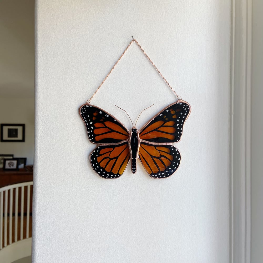 Image of Monarch Butterfly no.5