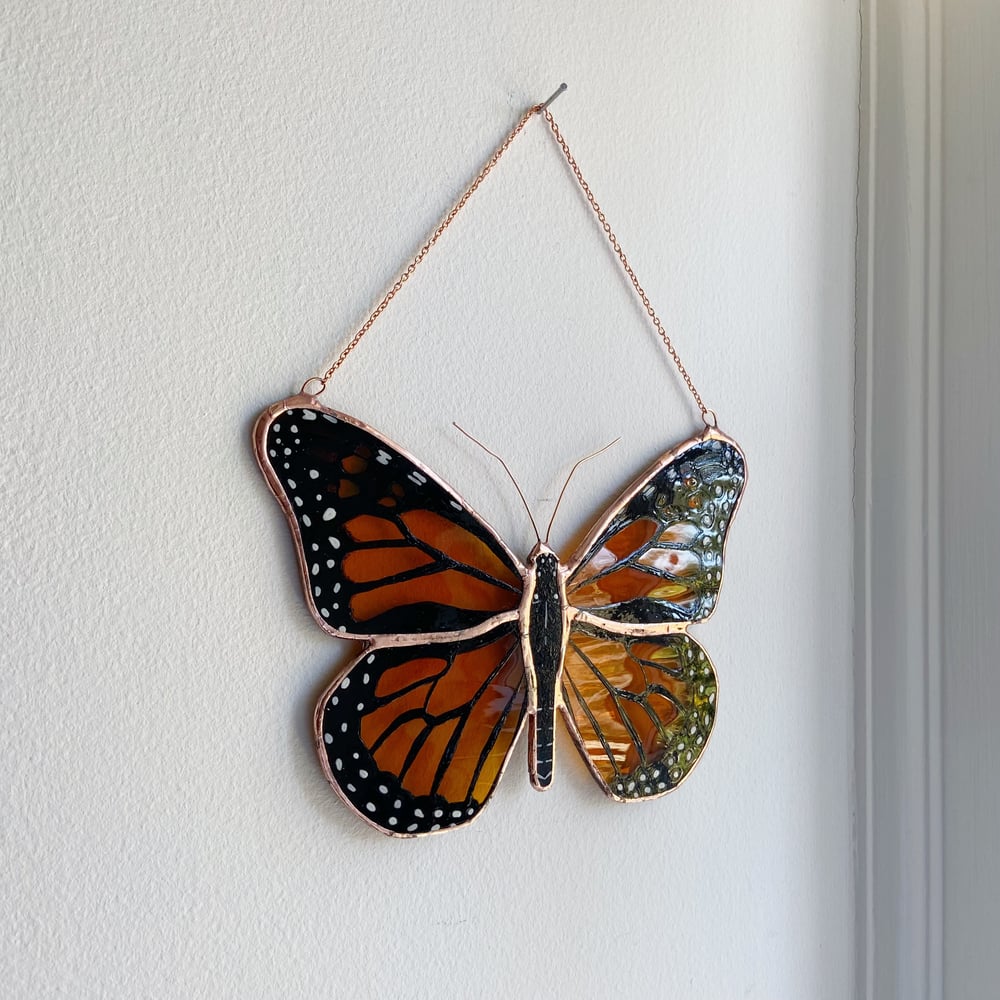 Image of Monarch Butterfly no.5