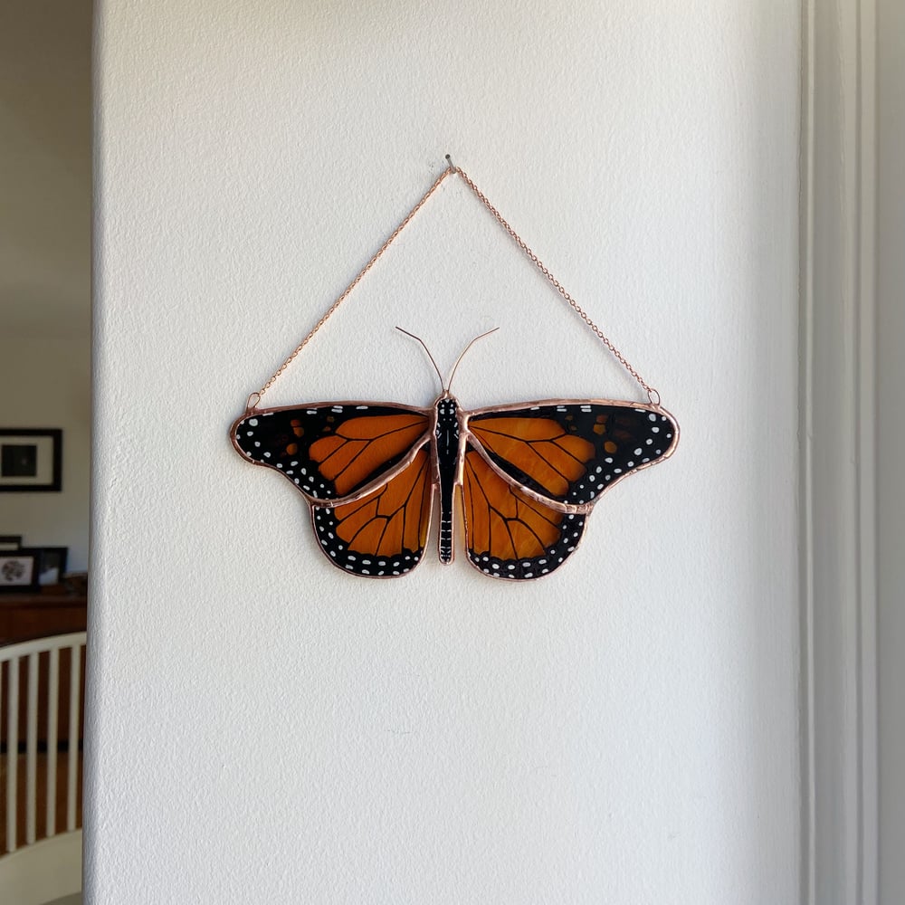 Image of Monarch Butterfly no.6