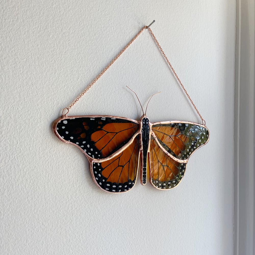 Image of Monarch Butterfly no.6
