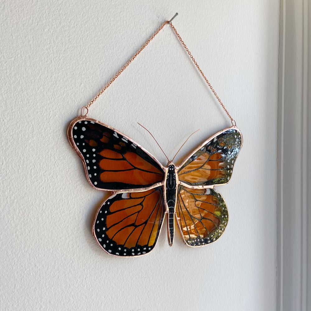 Image of Monarch Butterfly no.7