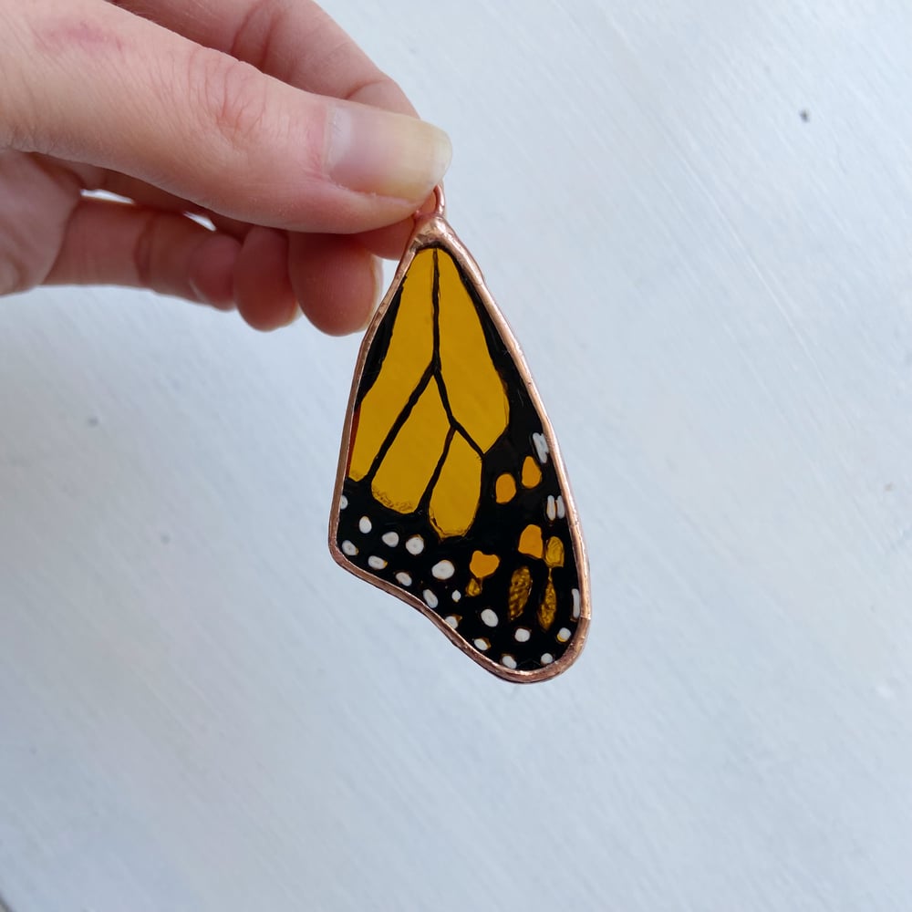 Image of Monarch Butterfly Wing no.9