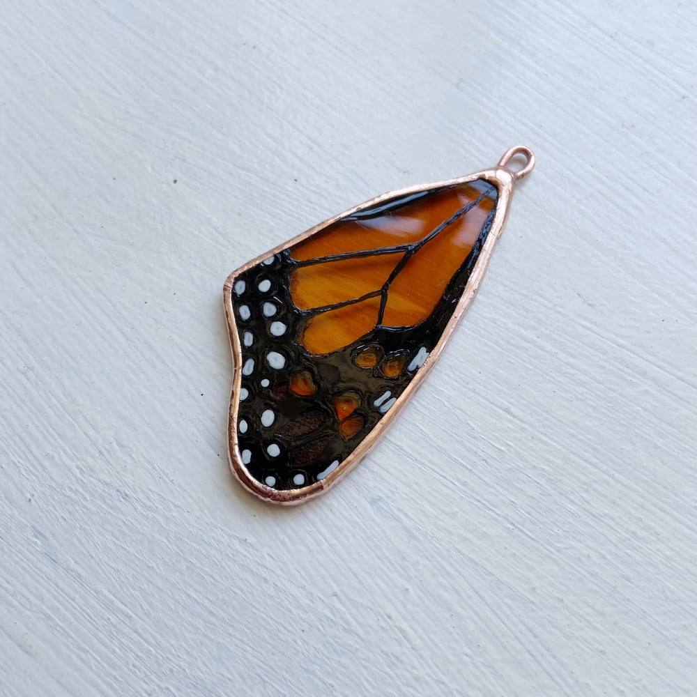 Image of Monarch Butterfly Wing no.9