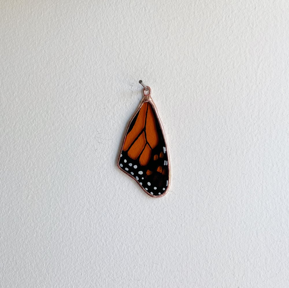 Image of Monarch Butterfly Wing no.9