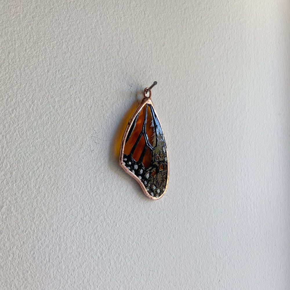Image of Monarch Butterfly Wing no.10