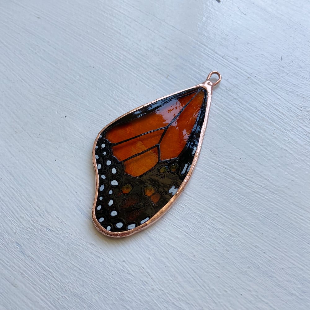 Image of Monarch Butterfly Wing no.11