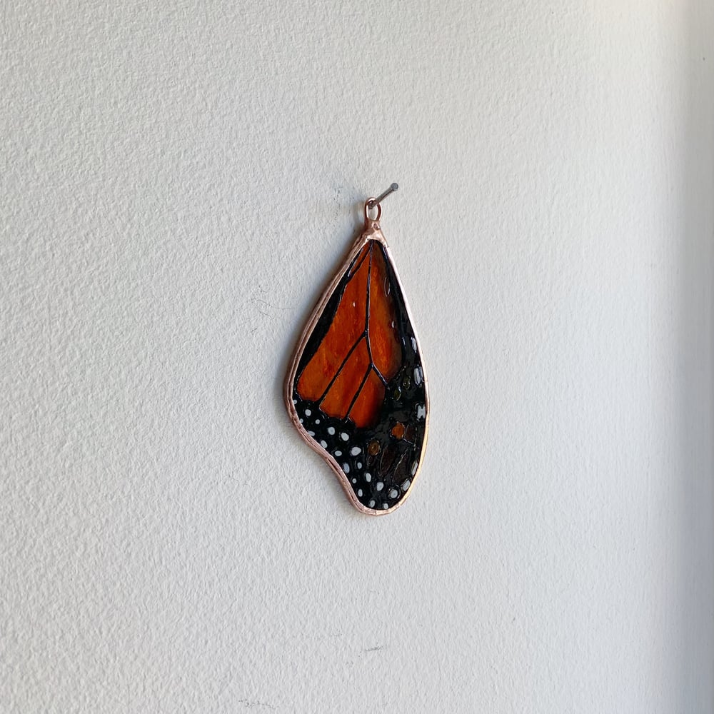 Image of Monarch Butterfly Wing no.11