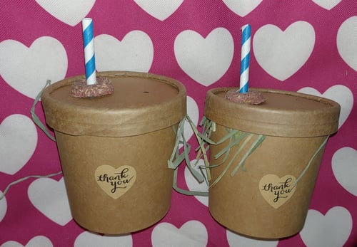 Image of Enrichment drinks cup filled with forage (‘FAKEAWAY RANGE’)