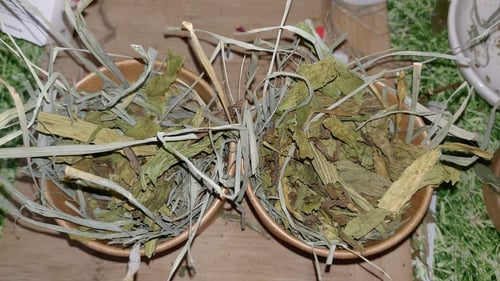 Image of Enrichment drinks cup filled with forage (‘FAKEAWAY RANGE’)