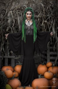 Image 3 of Morticia Dress Eight