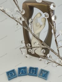Image 2 of Special Occasion Wax Melts