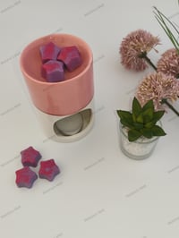 Image 2 of Star Shaped Wax Melts