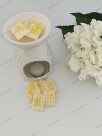 Image 2 of Mini Snap Bars