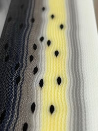 Image 10 of Speckled Trout  by Mikie