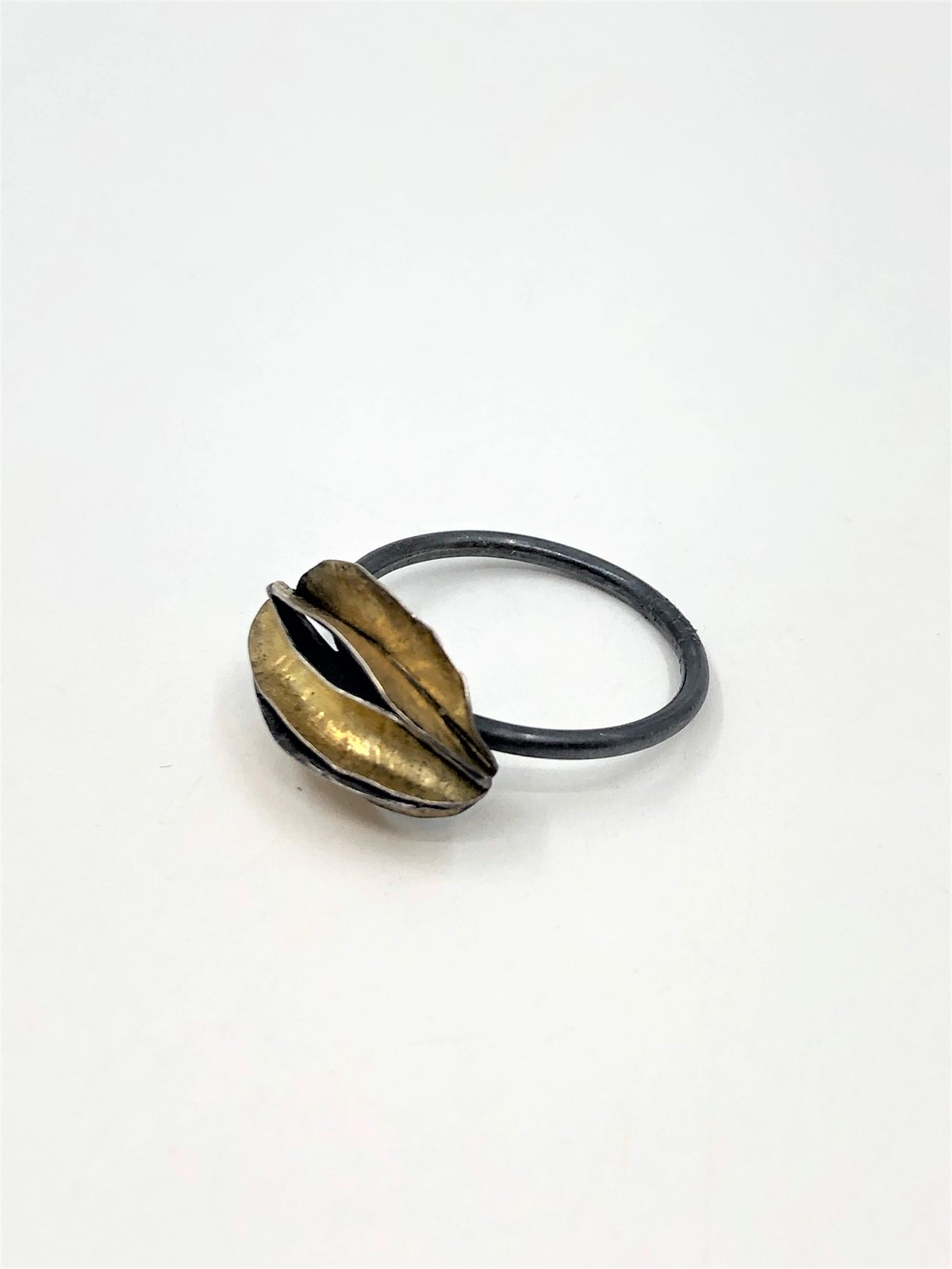Multi-Pod Ring by Peg Fetter