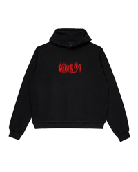 Image 1 of Delirium hoodie
