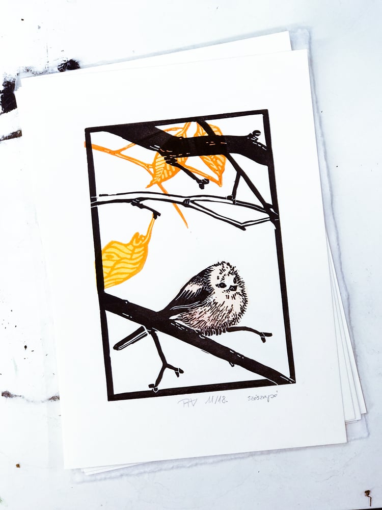 Image of Város és Vadon: Szöszapó XVIII/XI