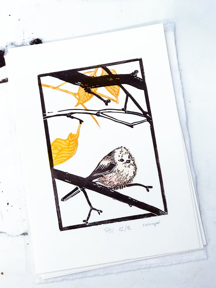 Image of Város és Vadon: Szöszapó XVIII/XII