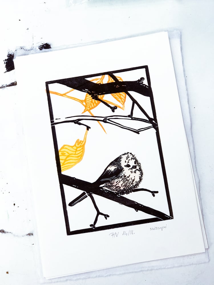 Image of Város és Vadon: Szöszapó XVIII/XIV