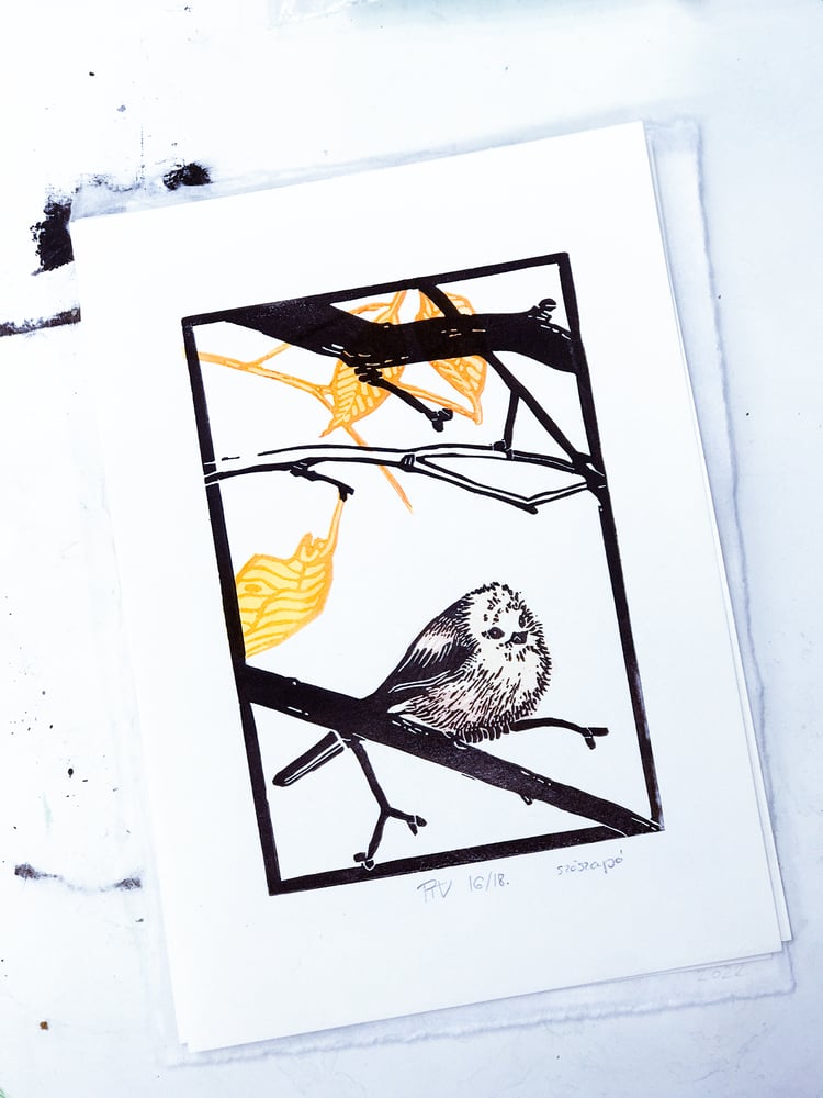 Image of Város és Vadon: Szöszapó XVIII/XVI