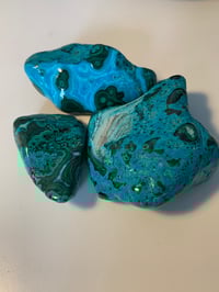 Malacholla freeforms