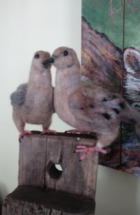 Image 4 of Pair of Mourning Doves
