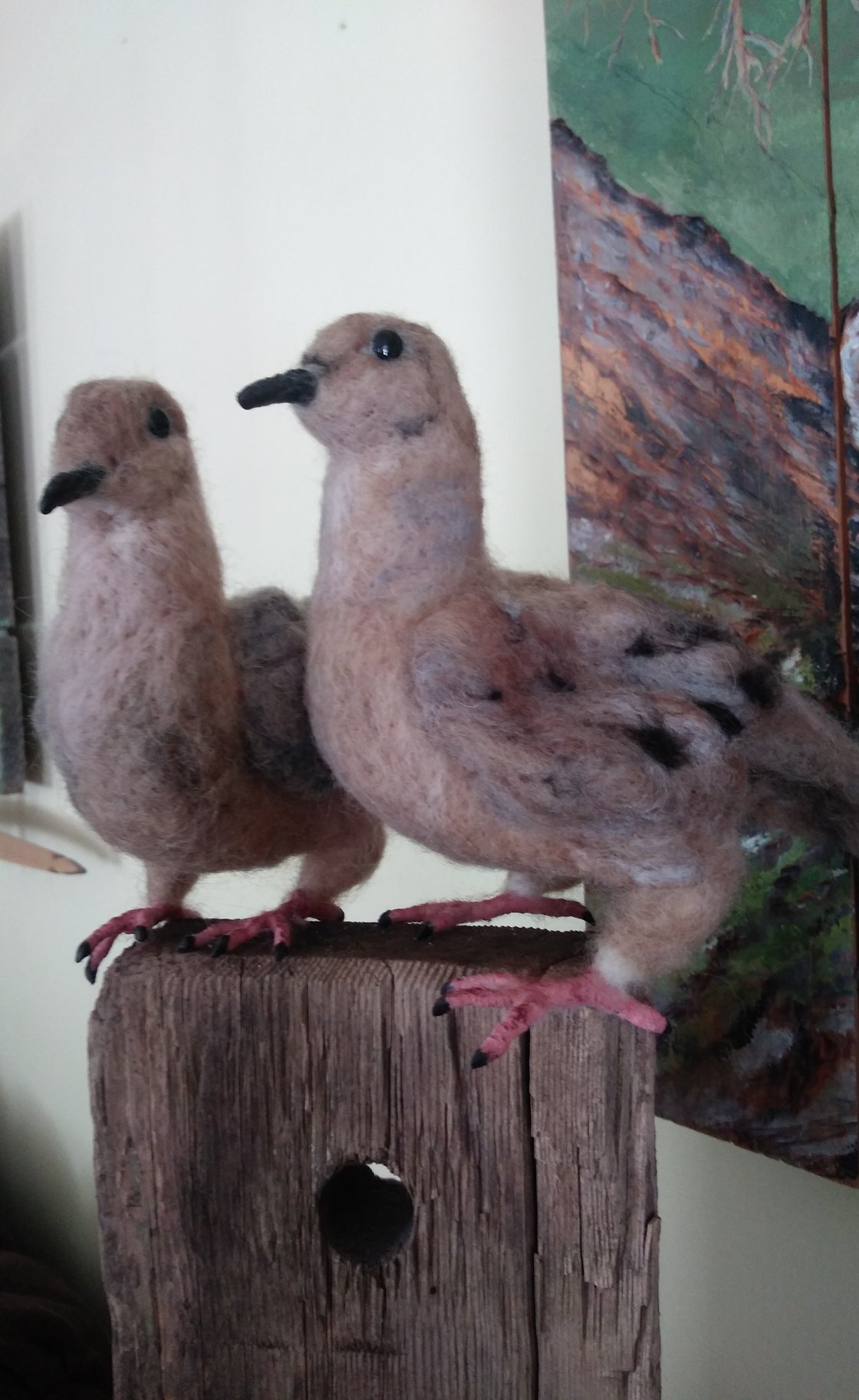 Image of Pair of Mourning Doves
