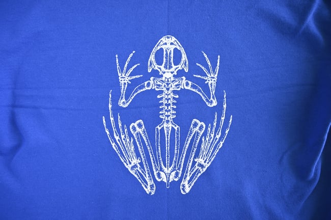 Skull Royal Blue Hoodie