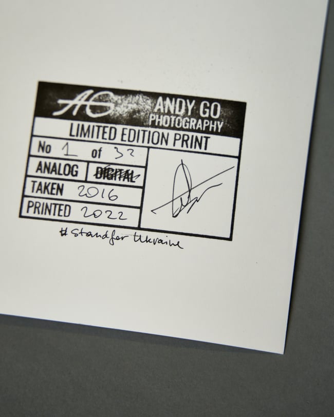 Feather 2 - From Flowers and Elements project 20 x 25 cm