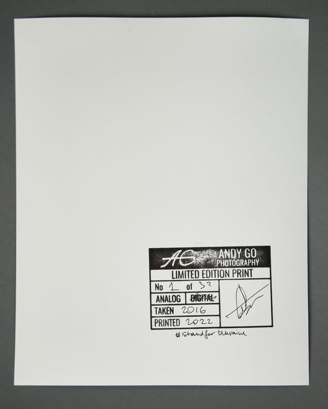 Feather 2 - From Flowers and Elements project 20 x 25 cm