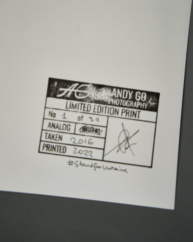 Cotton 2 - From Flowers and Elements project 20 x 25 cm 