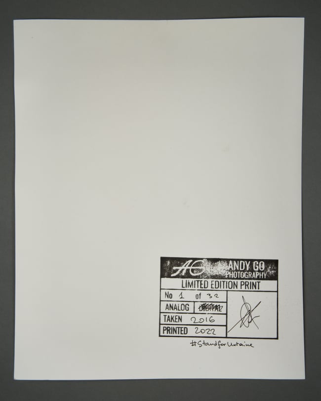 Cotton 2 - From Flowers and Elements project 20 x 25 cm 