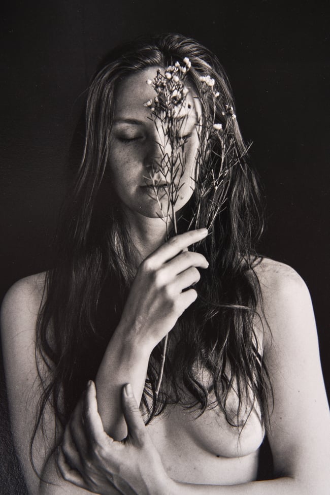 Juniper - from Flowers and Elements Project 30 x 40 cm - Early super limited edition