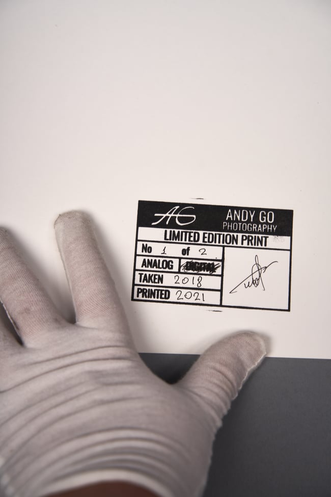 Juniper - from Flowers and Elements Project 30 x 40 cm - Early super limited edition