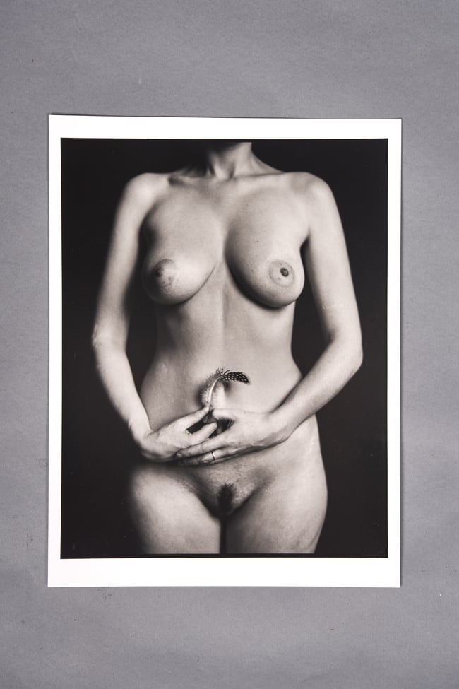 Feather 1 - from Flowers and Elements series 30 x 40 cm - Early super limited edition