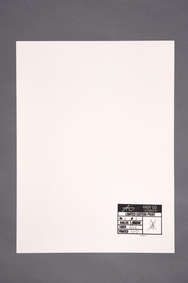 Feather 1 - from Flowers and Elements series 30 x 40 cm - Early super limited edition