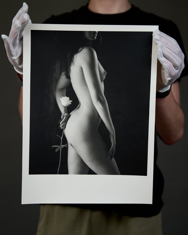 Rose - From Flowers and Elements project 30x40