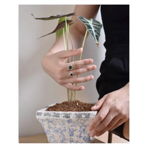 Image of Dragon Claw x Vietnam Green Jade round cut silver ring