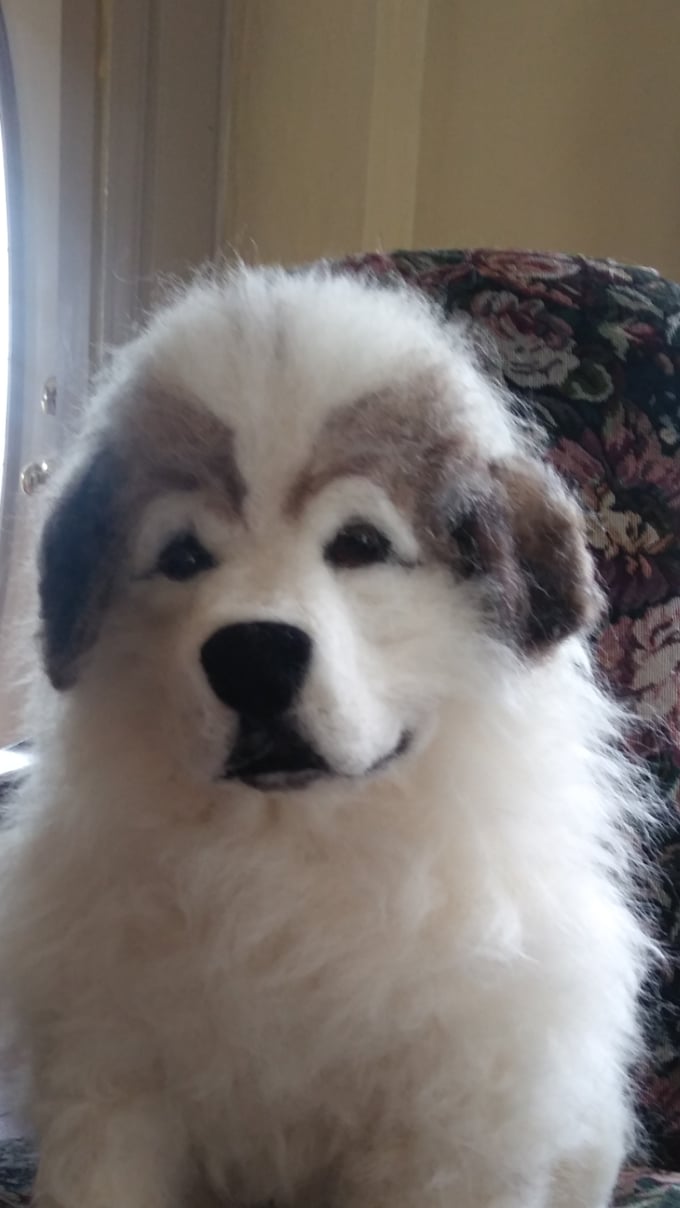 Image of 15" Great Pyrenees sitting puppy 