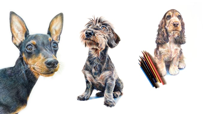 Image of Hand Drawn Pencil Pet Portrait Drawing Or Gift Voucher