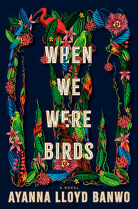 Image of Ayanna Lloyd Banwo -- <em>When We Were Birds</em> -- Inky Phoenix