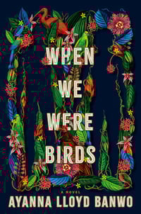 Image 1 of Ayanna Lloyd Banwo -- <em>When We Were Birds</em> -- Inky Phoenix