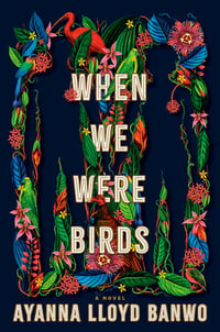 Image 1 of Ayanna Lloyd Banwo -- <em>When We Were Birds</em> -- Inky Phoenix