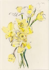 March daffodils 