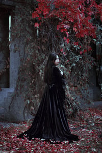 Image 3 of Black Velvet Gown